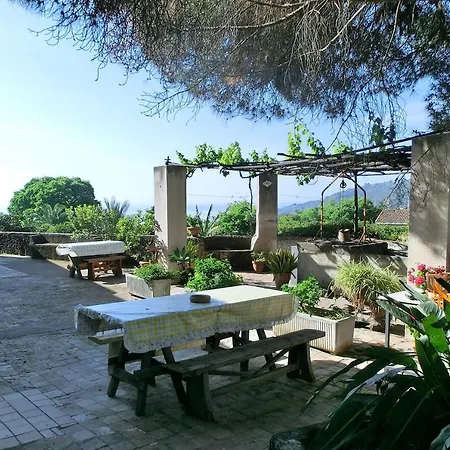 Il Limoneto *