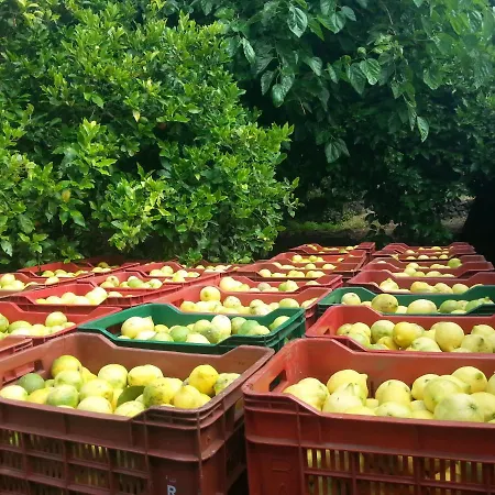 Il Limoneto Alojamento de Turismo Rural *