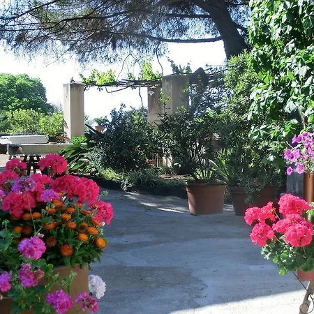 Il Limoneto
