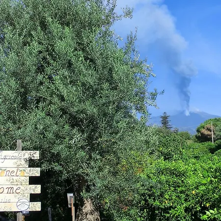 Il Limoneto Farm stay Acireale