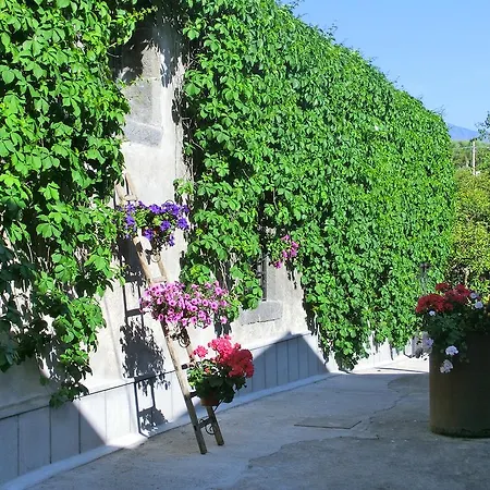 Il Limoneto Farm stay Acireale