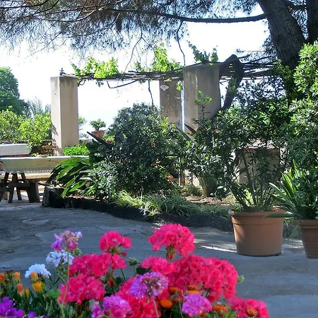 Farm stay Il Limoneto *