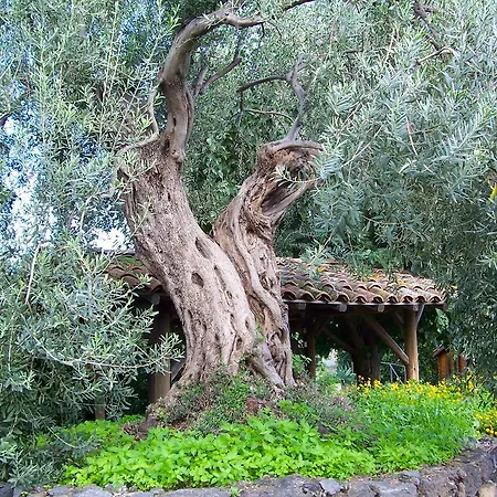 Il Limoneto Farm stay *