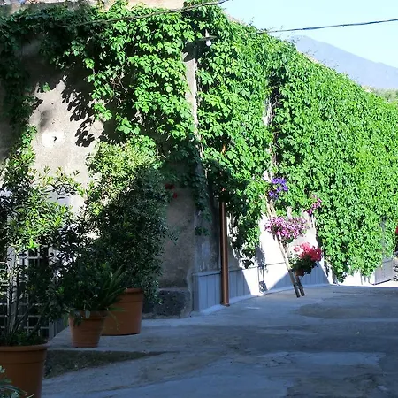 Il Limoneto