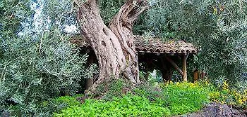 Il Limoneto * Acireale