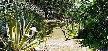 Farm stay Il Limoneto Acireale